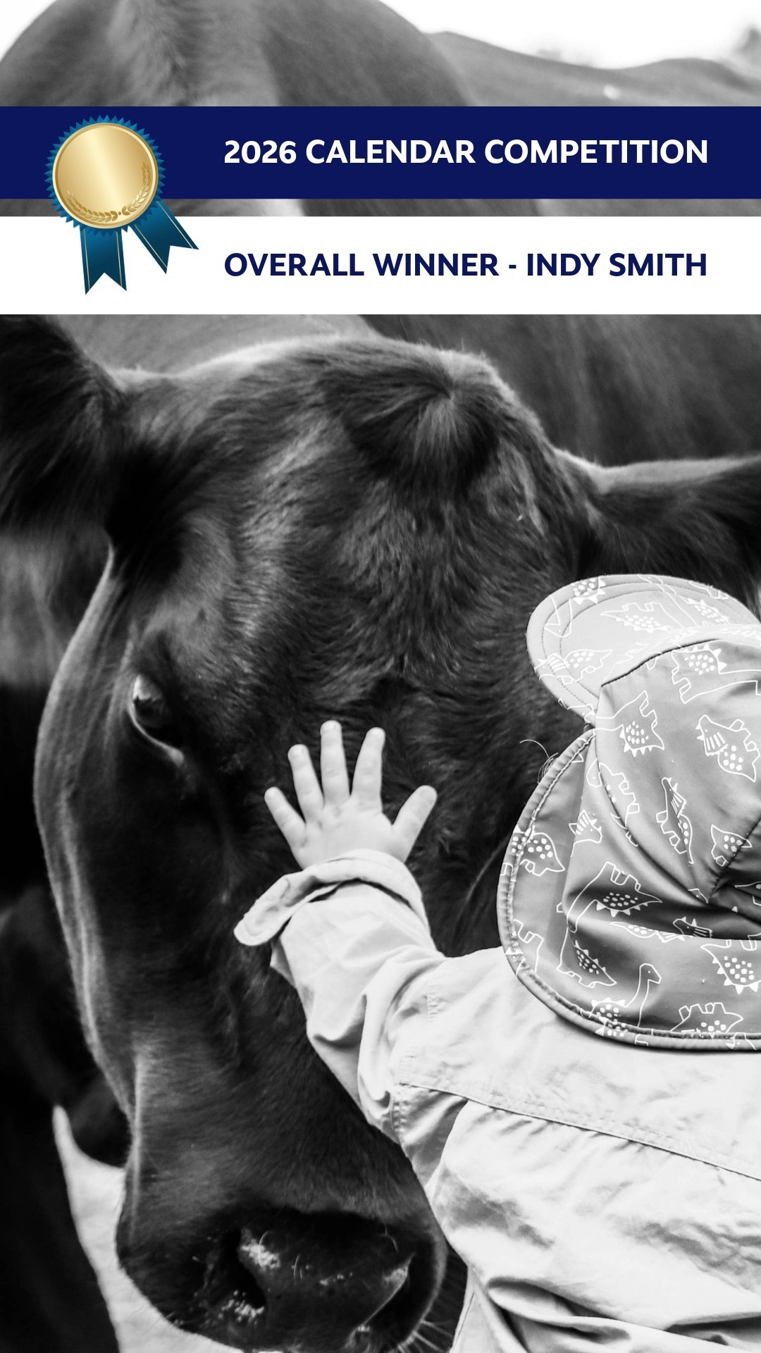 2026 Calendar Photo Competition winner and finalists