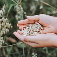 Careers in Agriculture